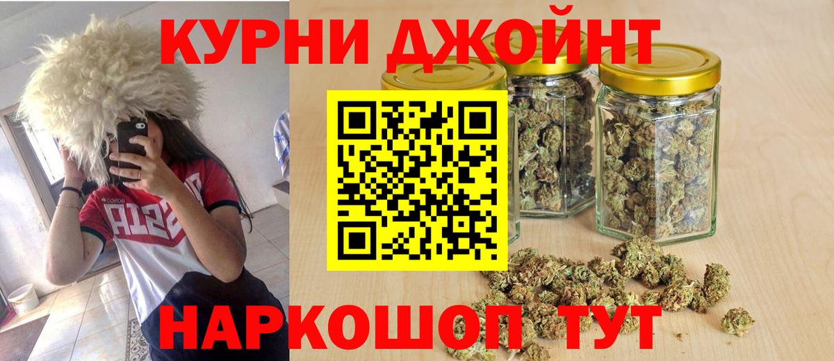 Каннабис конопля Королёв